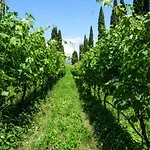 Betteloni Valpolicella *