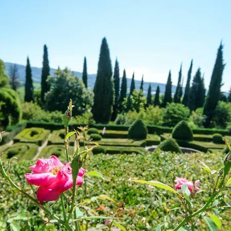 Betteloni Valpolicella Apartment San Pietro in Cariano