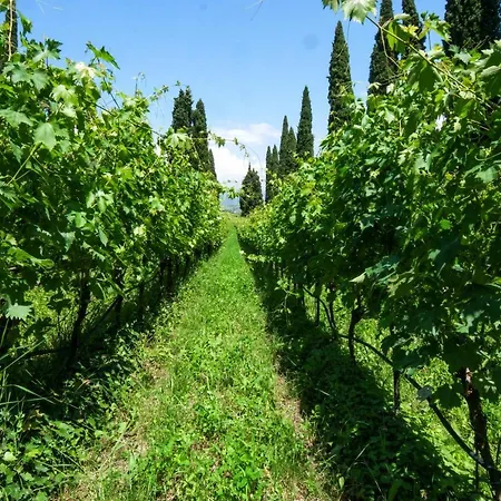 Betteloni Valpolicella *