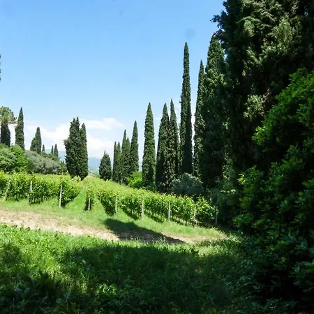 Betteloni Valpolicella
