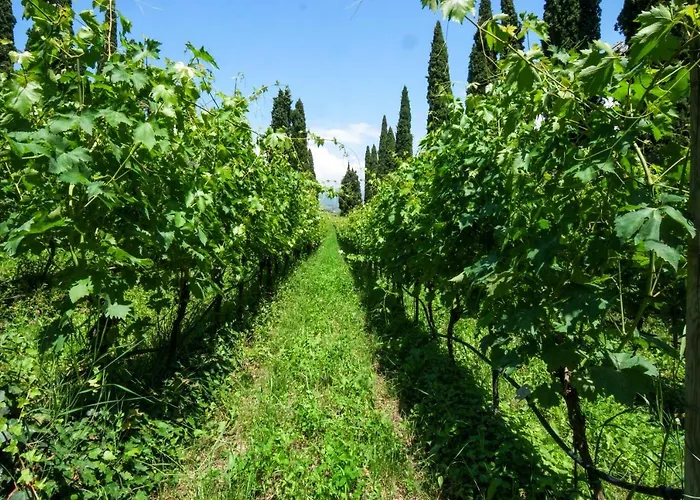 Betteloni Valpolicella *
