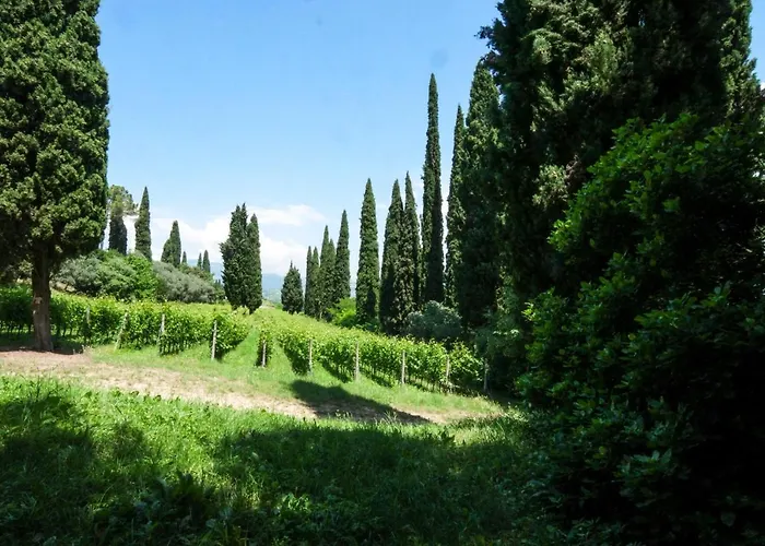 Betteloni Valpolicella